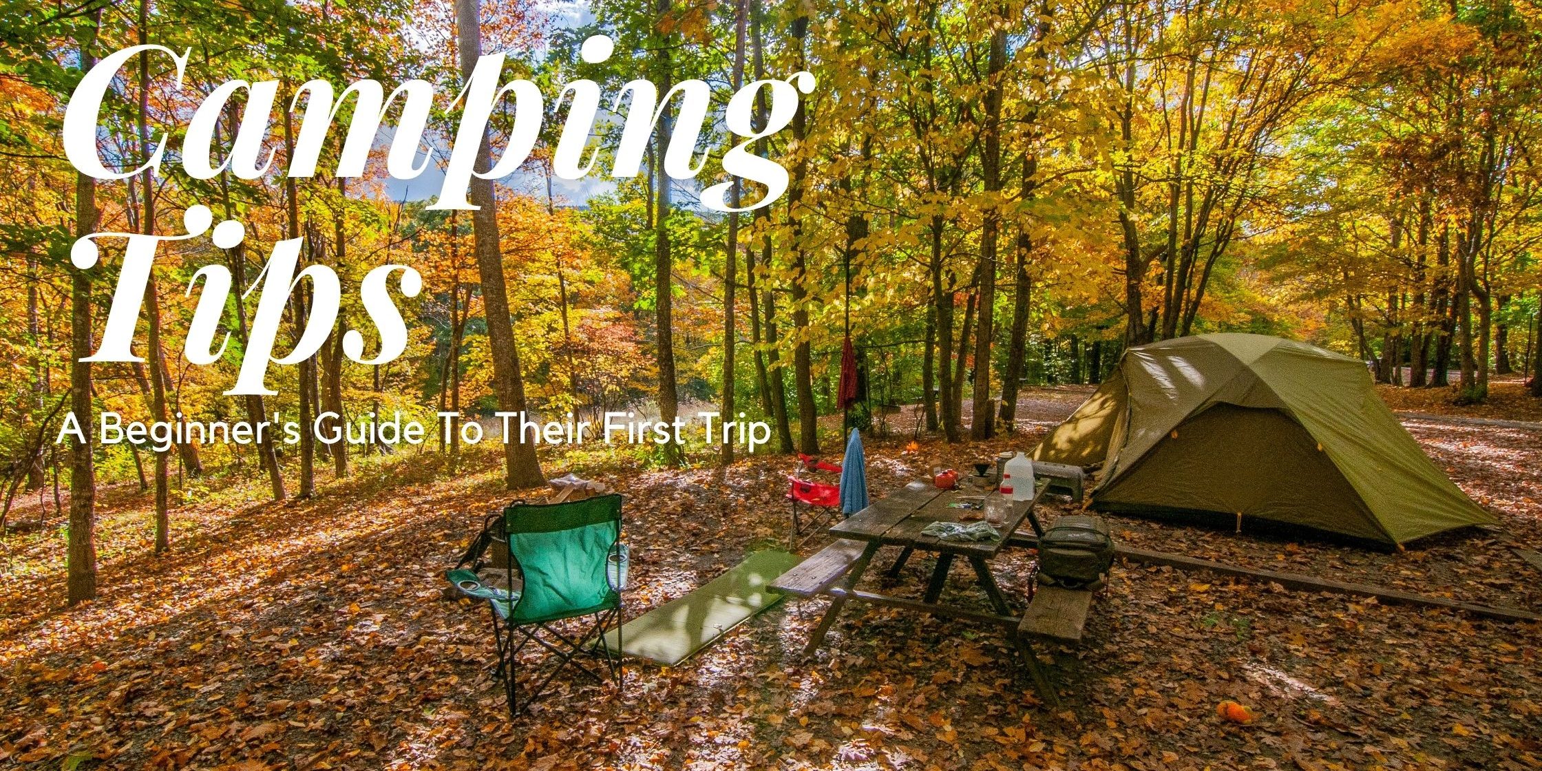 Camping 101 Essential Tips for First-Time Campers Camping 101: Essential Tips for First-Time Campers