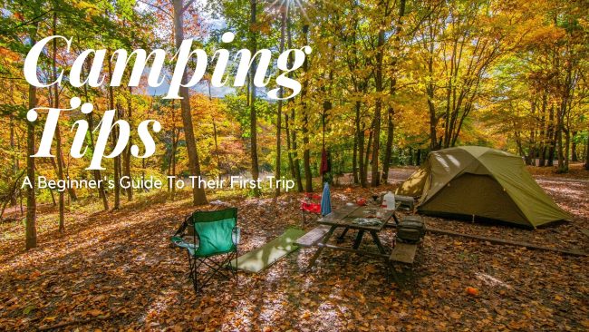 Camping 101 Essential Tips for First-Time Campers Camping 101: Essential Tips for First-Time Campers