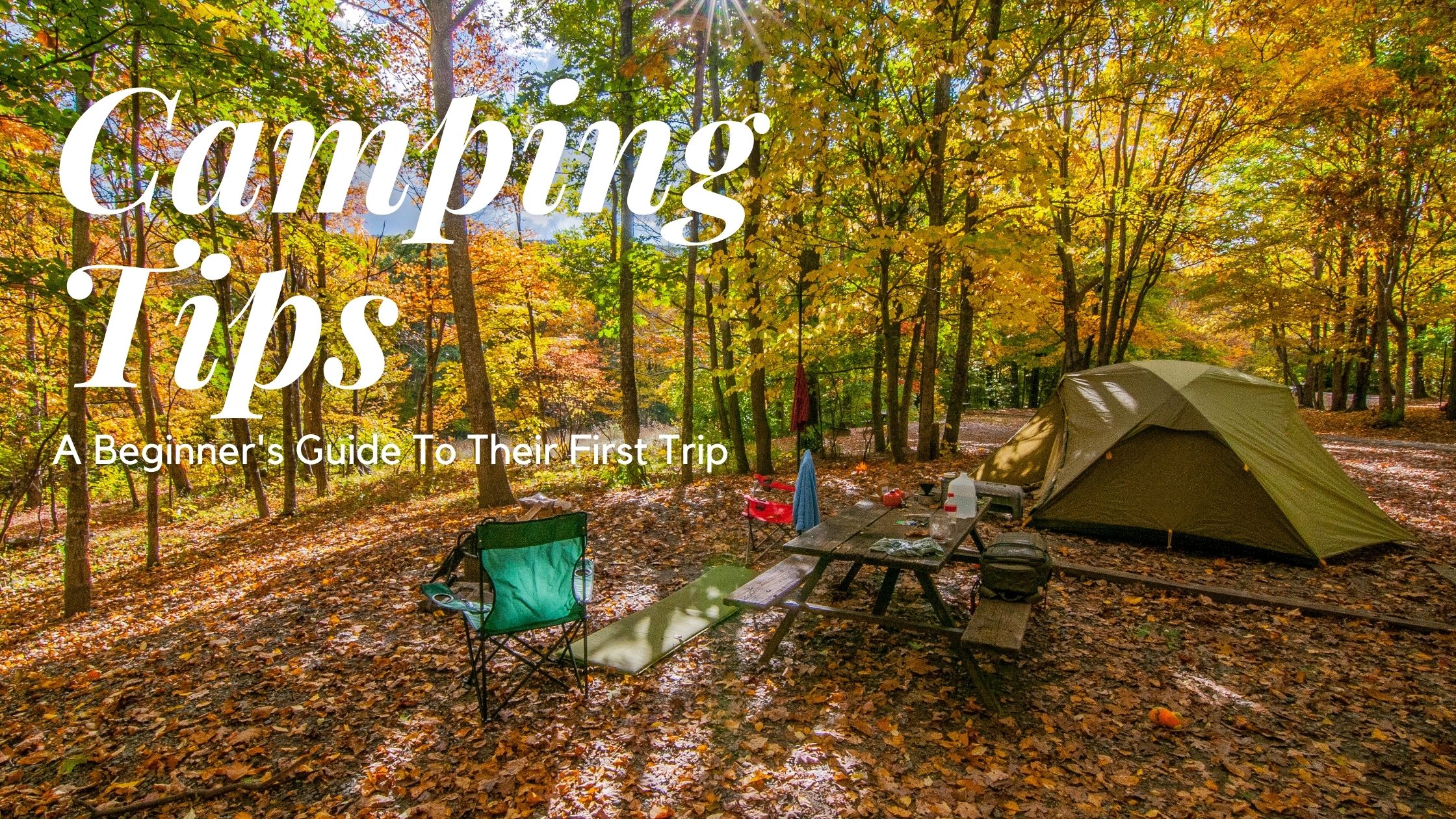 Camping 101 Essential Tips for First-Time Campers Camping 101: Essential Tips for First-Time Campers